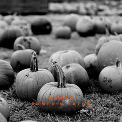 Pumpkin Patch