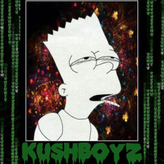 KU$HHWAVE