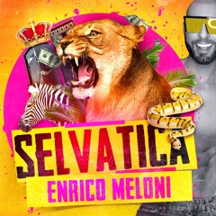 ENRICO MELONI - Selvatica - In The Mix #60 2K21