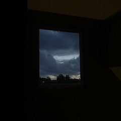 theoceanisbleeding111