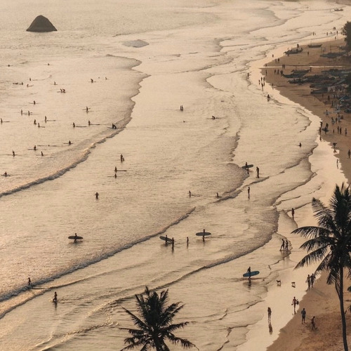 SHOOK ONES X INSOMNIA