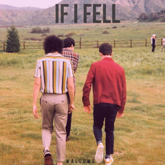 Wallows - If I Fell (Cover)