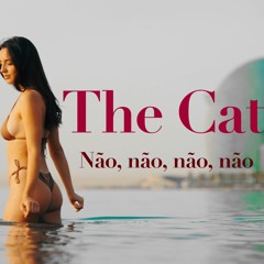Não, não, não, não