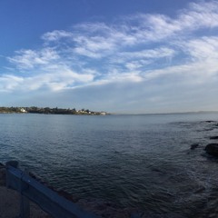 Ditty for the Hippy(A demo,a memo,rough & true,nor finished but due)