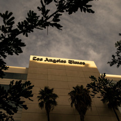 LA Times (feat. Trizz)