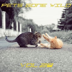 Pets Gone Wild Vol.20
