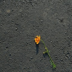 Mikha Angelo-Too and More (Short Cover)