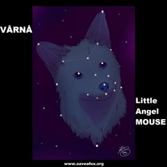VÅRNÅ - Little Angel Mouse - 03.11.2021