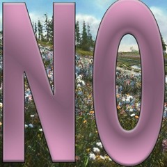 NO (bonus)