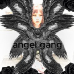 angel gang