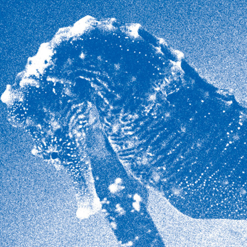 Horo - live at Bunkamura Orchard Hall, Tokyo, 2021