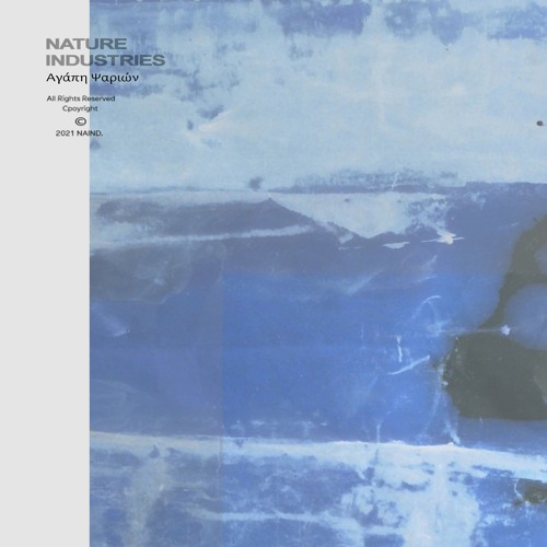 NAIND AR-22 A2 Constructions Des Temps Modernes - Triangle