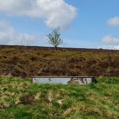 pennine grasses (antblanca montag-e + spaceblender)