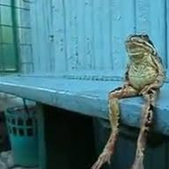 (Bonus) Frog Island Demo