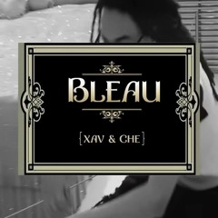 XAVIERSOBASED & CHE - BLEAU