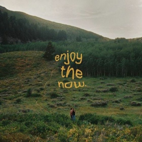 enjoy the now