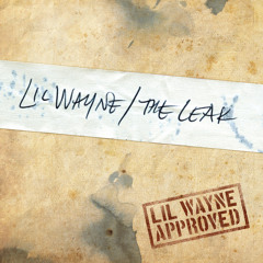Lil Wayne - Love Me or Hate Me (Album Version (Edited))