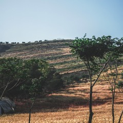 Miles Away