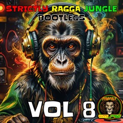 STRICTLY RAGGA JUNGLE BOOTLEGS VOL 8 FREE ALBUM