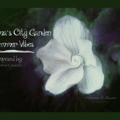 Emma's City Garden Summer Vibes