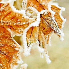 past i kno (prod. dogeatdog)