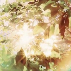 Lilpop- cold light