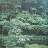 LIFE CLASSICS 32 ABRILITA DJ mix artwork - Electronic music tracklist cover image