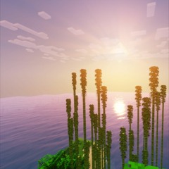 vibe ocean