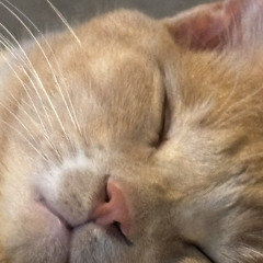 Third EYE bass mix Vol 1