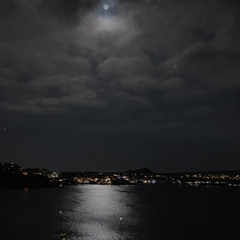 Stimmen der Nacht