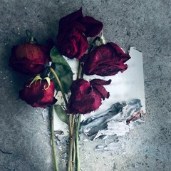 Roses In The Hospital