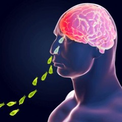 Venture Into The Brine