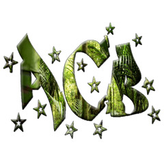 Ruff Ryder Joy - AcB Bootleg Remix