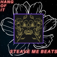 hang of it - Steave Me Beats