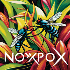 noxpox - joys of a fly life