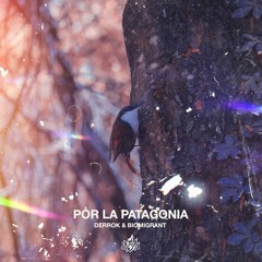Por La Patagonia - Derrok y Biomigrant