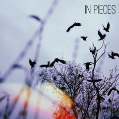 In Pieces (Contemporary Classical / Drama / Soundtrack)