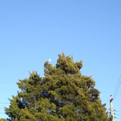 19 Dollar Fortnite Card Type Beat