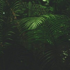 Kizaru-свет мой зеркальце скажи