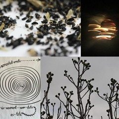 Pathless Land, a metamorphosis in four parts
