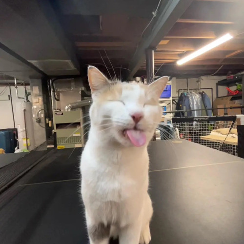 you prod silokilledthis