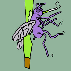 plezier 2