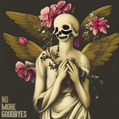 No More Goodbyes (Hypnautic of Top Flite Empire)