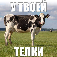 У твоей телки