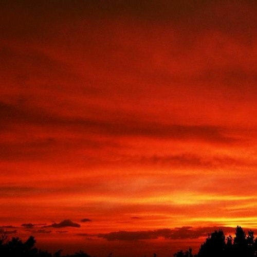 JONCOMEFINDME - MONEY [F16 X TRVSH]