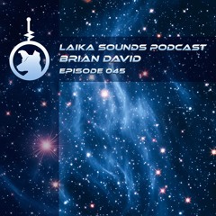Laika Sounds Podcast // 045 // Brian David