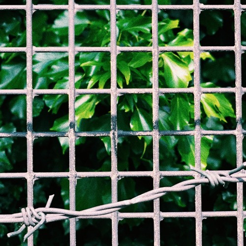 Premiere: Woven Thorns 'Loveless'