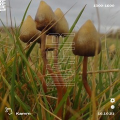 Kamm 16/10/21