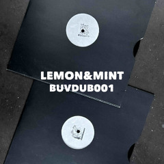 Outkast - So Fresh, So Clean (Lemon&Mint getting arrested bootleg)