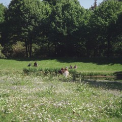 the 10k run through vondelpark